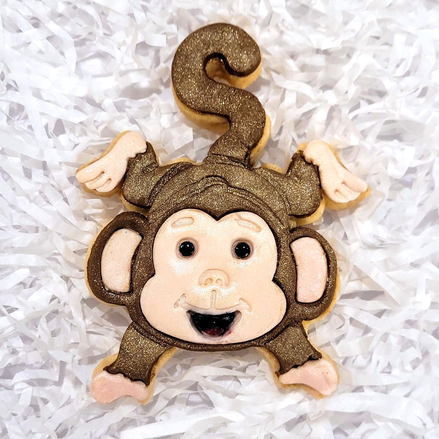 Safari Birthday Cookies