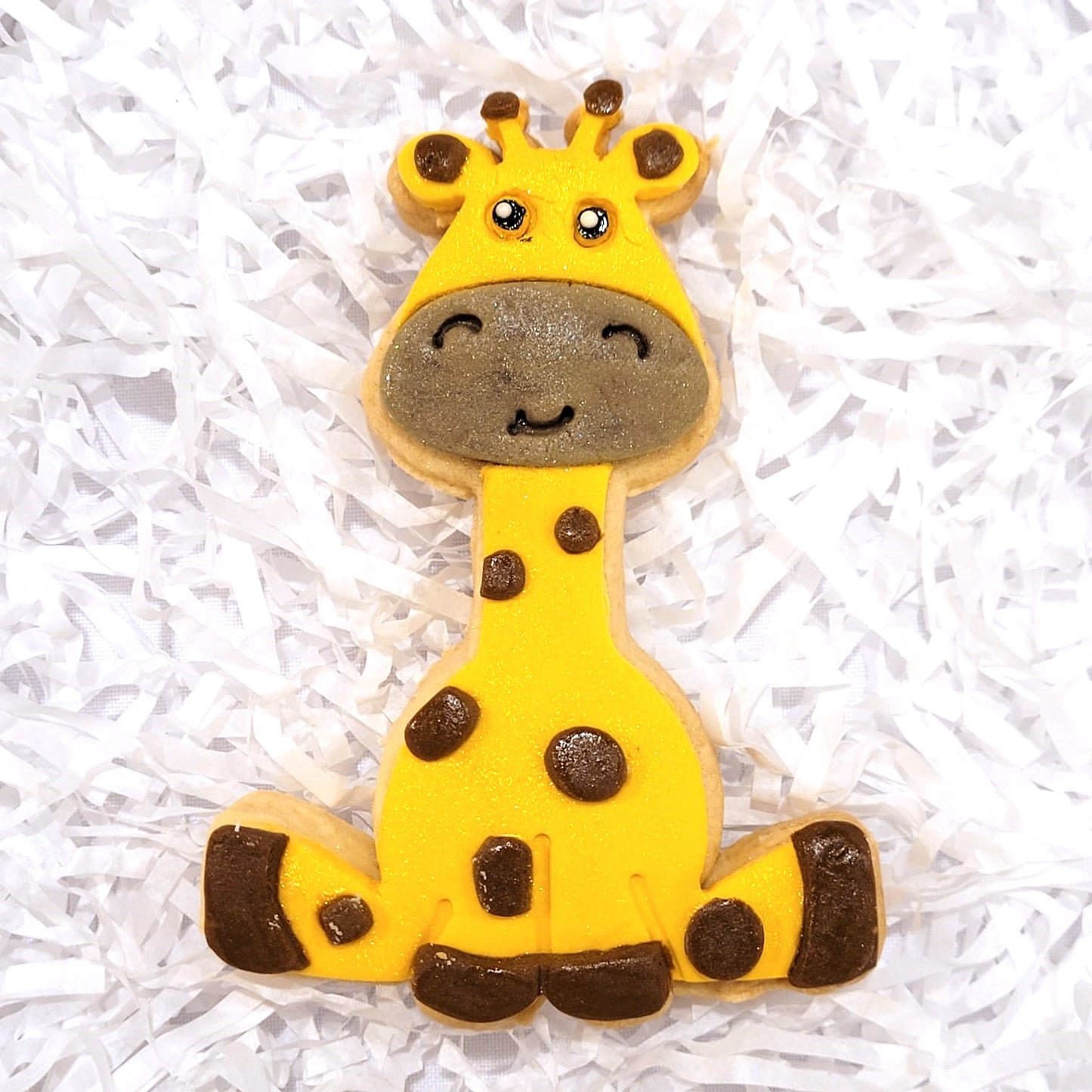 Safari Birthday Cookies