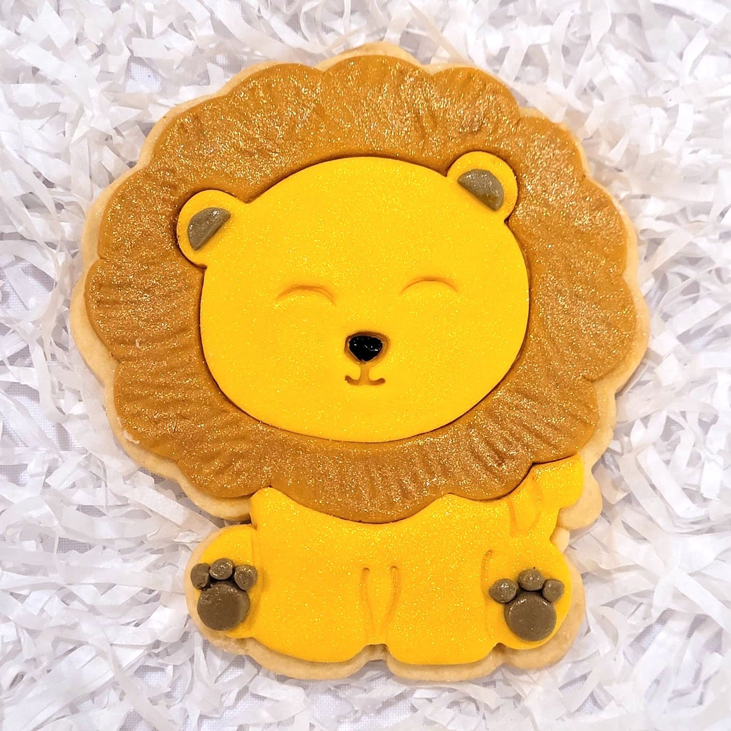 Safari Birthday Cookies