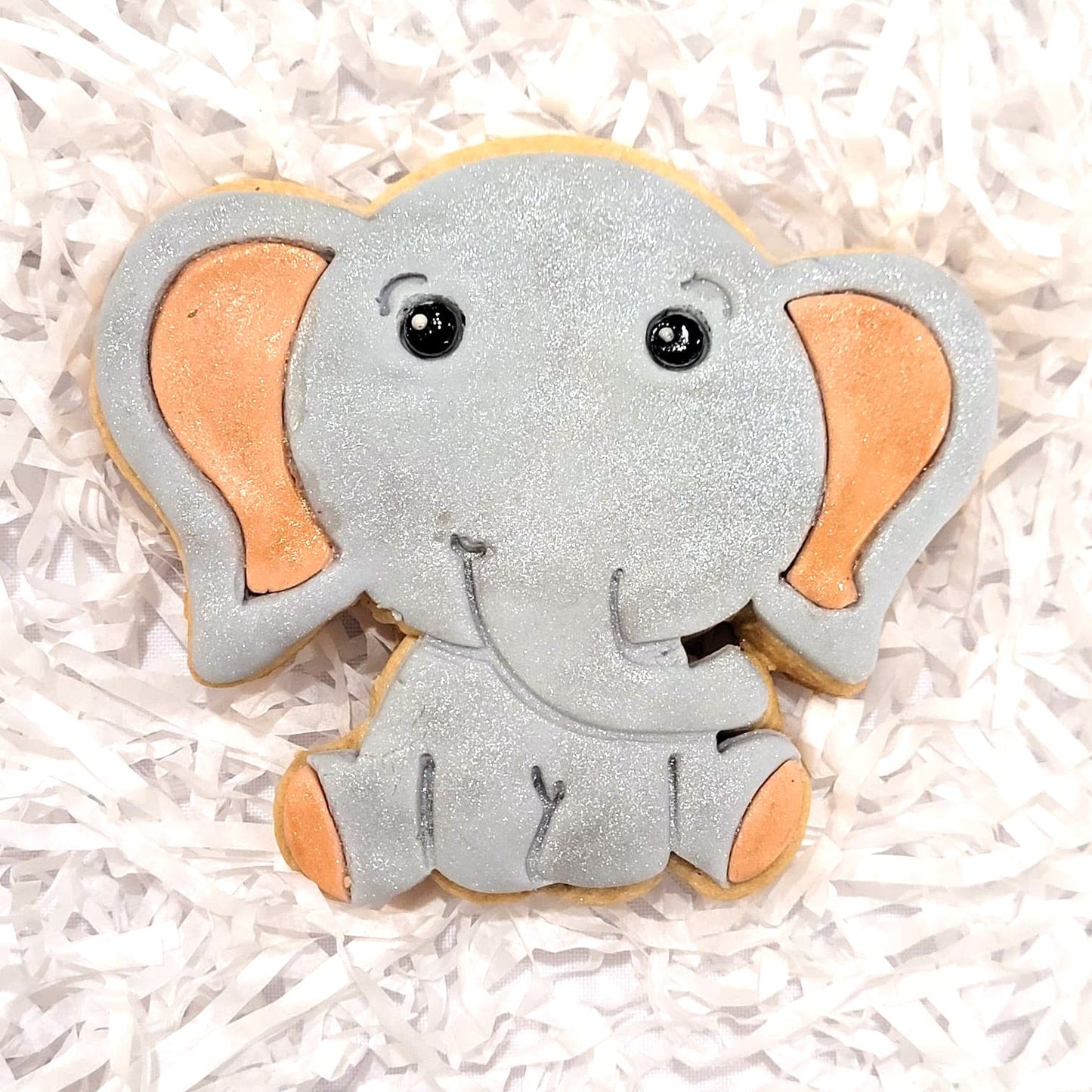 Safari Birthday Cookies